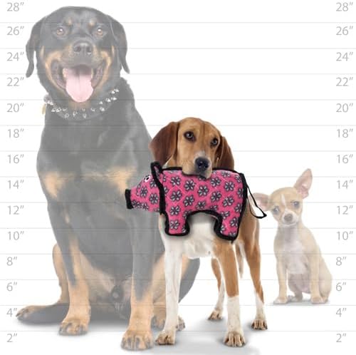 TUFFY® : Jr Pig Dog Toy: Ultra Durable Plush Toy with Multiple Layers & Reinforced Seams, Washable and Floats, Original Construction