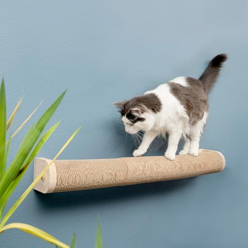 Floating Cat Shelf & Perch – Wall-Mounted Climbing Furniture for Cats - Moonbeam Path | Ascentials by FurHaven