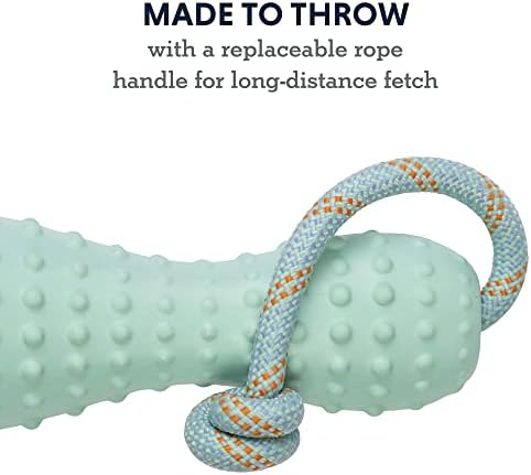 Ruffwear, Gourdo Dog Toy with Rope Handle, Sage Green, Large