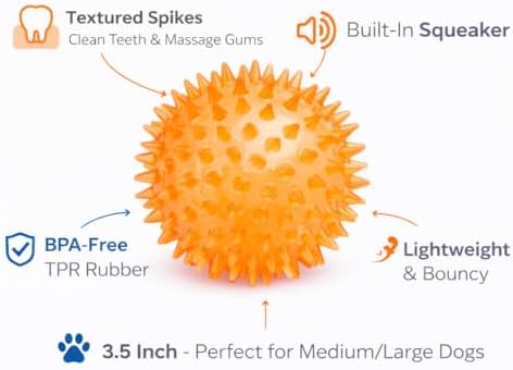 Squeaky Spiky Dog Ball for Teeth Cleaning & Gum Massage 2.5 Inch Small Medium Dogs Orange | Spiny TPR Rubber Chew Toy for Fetch Play Interactive Bouncy Dental Ball Durable BPA Free Nontoxic Floats