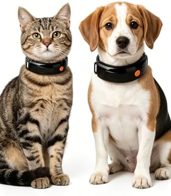 New OVlboRav V3.0 Cat Health Monitor by OVlboRav – AI Health Collar with 24/7 Vital Signs Alerts, GPS, Telehealth Consults, AskaVet & Share with Your Vet & SmartWatch Sync – Subscription Required