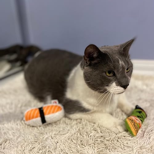 SPOT Sushi Take-Out- Cat Plush Toys with Catnip & Silverine Blend, Cute and Funny Toys for Indoor Cats & Kittens, Perfect for Batting and Chasing - 4 inch, Assorted 2-Pack, Styles May Vary