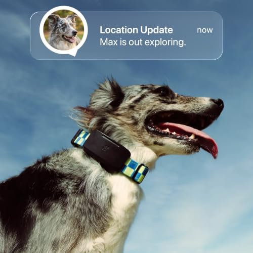 Fi Ultra Satellite Dog Tracker [12 Month Membership Included] Real-Time GPS Tracking, Waterproof, Powered by T-Satellite with Starlink, Sound & Vibration Recall Technology