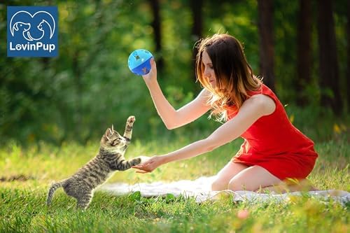 Large Cat Ball Toy with Bell – Pink (4", 1 Pack)