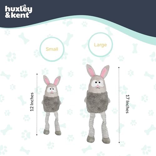 Huxley & Kent Funny Dog Toy w/Squeaker – Power Plush Squeaky Dog Toys for Small, Medium & Large Dogs – Soft Stuffed Animal for Indoor Play & Fetch - Squeak to Crunch - Lankies Binky Bunny, Large