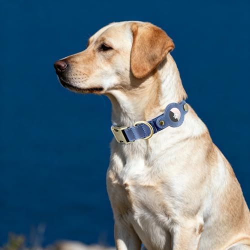 Airtag Dog Collar,PU Leather Collar with Airtag Holder for Large Dogs(Blue)