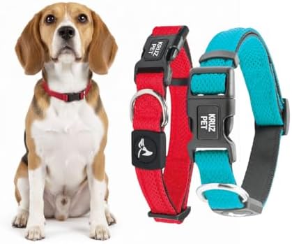 Dog Collar Bundle for Small Dogs (Width- 5/8", Neck - 8"-12") | Adjustable Padded Red, X-Small & Turquoise, X-Small Dog Collars with Heavy Duty O-Ring | Soft & Comfortable Fit for Small Dog