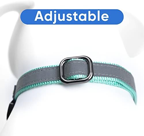 Pawtitas Personalized Dog Collar Martingale Dog Collar with Name Phone Number Reflective Martingale Dog Collar Customized Collar for Small Dogs | Teal Custom Dog Collars for Small Dogs