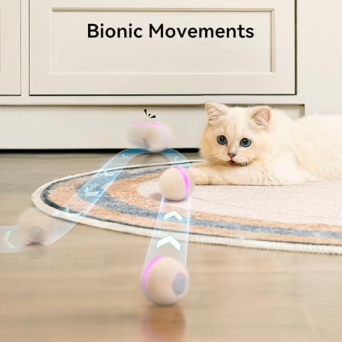 Cheerble Interactive Cat Ball Toy, Wicked Ball M3, Automatic Interactive Cat Toys for Indoor Cats with 3 Modes, Rechargeable Cat Enrichment Toys for Small/Medium/Large Cats to Keep Them Busy