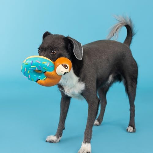 Fringe Studio Dog Toy, Donut Worry About A Thing, Latex, Pet Shop Collection (366009) (Pack of 2)