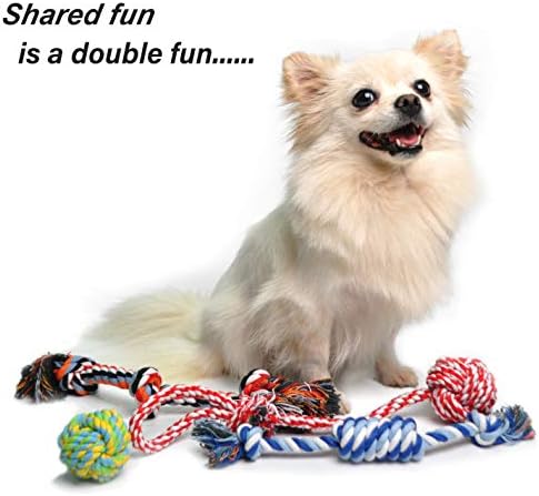 Fida Dog Rope Toys, 4 Pack Cotton Puppy Teething and Chew Toys