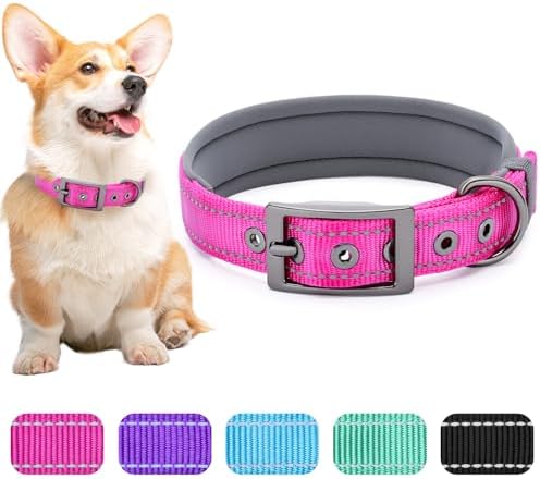 Segarty Reflective Pink Dog Collar Girl for Dogs Neck 14.5-18.9in, Adjustable Wide Soft Comfortable Breathable Neoprene Padded Nylon Collar with Heavy Duty Metal Buckle for Medium Small Breeds (M)