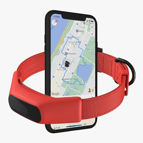 Averia Collar - Reliable GPS and Activity Tracker for Dogs