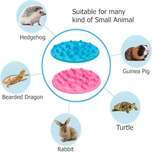 2-in-1 Bearded Dragon Enrichment Toy & Feeding Bowl – 2Pcs Reptile Bowl - Mealworms & Cricket Dish for Gecko, Bearded Dragon & Chameleon - Bearded Dragon Toy for Boosts Natural Instincts & Exercise