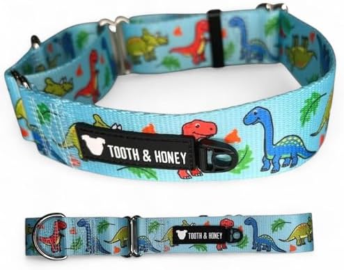 Tooth & Honey Martingale Dog Collar, 1.5-Inch Wide Dinosaur Print Design
