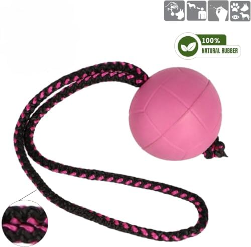 Dingo Dog Ball with Short Handle, Natural Rubber (Pink)