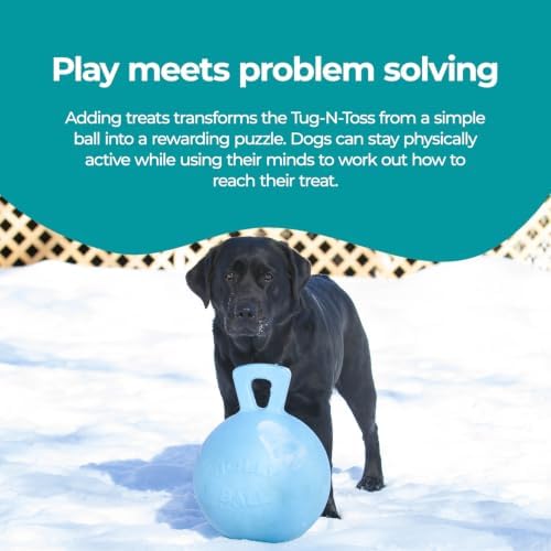 Jolly Pets Tug-n-Toss Heavy Duty Dog Toy Ball with Handle, 10 Inches/X-Large, Blueberry for All Breed Sizes