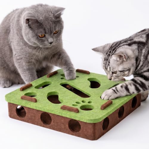 Interactive Cat Puzzle Toy, Mental Stimulation Box with 3 Balls, Indoor Cat Brain Training Game, Green for Kitten Enrichment