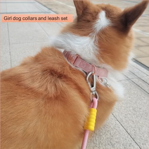 Rose Gold Dog Collar with Quick Release Buckle - Adjustable Soft Padded Nylon Pet Collar with ID Tag Ring for Small Medium Dogs, Comfortable & Durable Training Collar (White, Small)