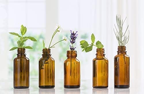 Aromatherapy Essential Oil - 100% Pure Aromatherapy Grade Essential Oil by Nature's Note Organics (10 Ml, Absinthe (Wormwood))