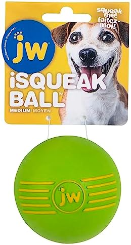JW iSqueak Ball Durable Natural Rubber Dog Toy (Assorted Colors)