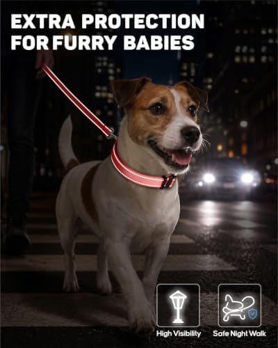 Padded Dog Collar with Waterproof Holder Compatible with Airtag
