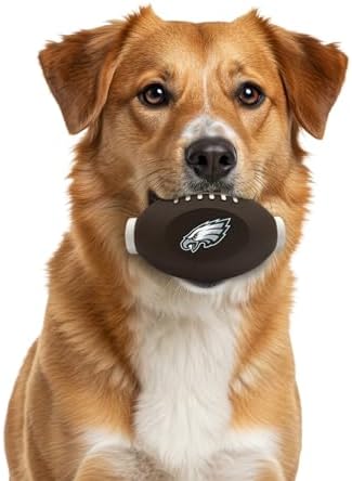 Philadelphia Eagles Treat Dispenser Toy