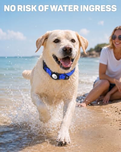 Padded Dog Collar with Waterproof Holder Compatible with Airtag