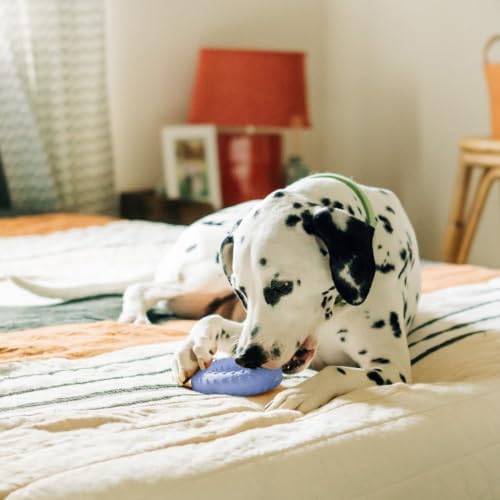 Playology Dual Layer Ring Dog Toy for Aggressive Chewers, Blueberry Scent