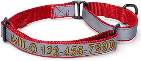 Pawtitas Customized Martingale Dog Collar Reflective Reflective Dog Collar Embroidered Personalized Name Phone Number Adjustable for Puppies Small Medium Large Size Dogs Small Red