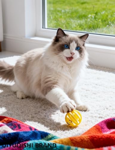 5 Pack Bell Cat Balls for Indoor House Cats