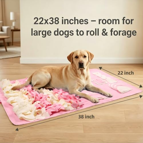 Snuffle Mat for Dogs: Slow Food Interactive Experience