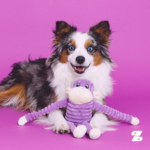 ZippyPaws Crinkle Monkey for Small and Medium Dogs - Small, Purple