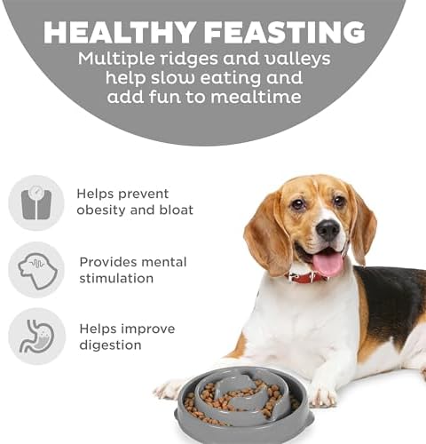 Outward Hound Fun Feeder Slo Bowl Dog Slow Feeder, Drop, Gray, 8.8"