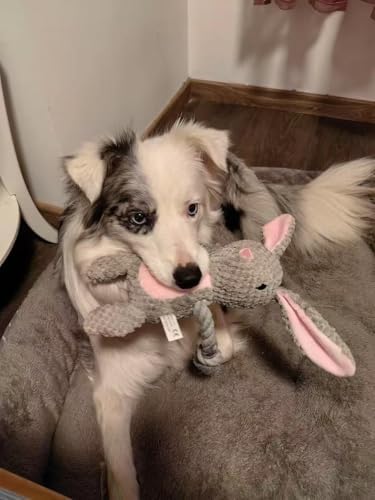 Plush Bunny Dog Toy, Squeaky Tug Toy with Rope Arms for Small Medium Dogs
