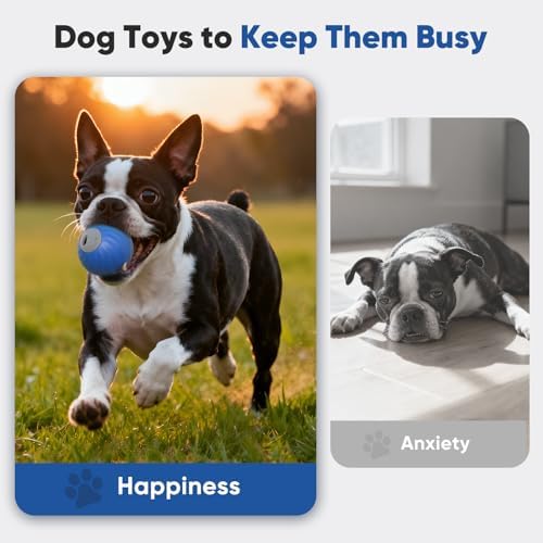 Petbobi Interactive Dog Ball, USB Rechargeable Moving Dog Toy for Treat Dispensing, 2.87" Blue Washable TPU Puzzle Ball, Interactive Dog Toys for Small & Medium Dogs, Boredom & Anxiety Relief
