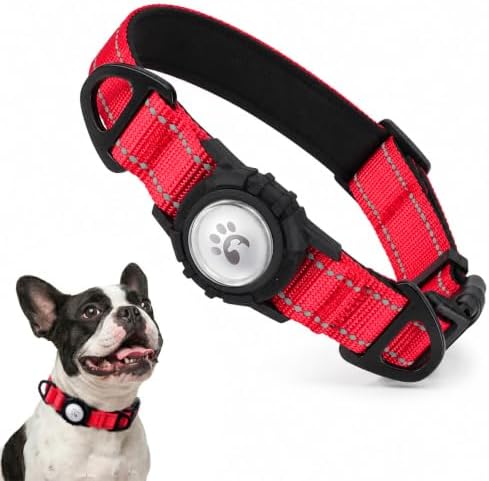 Padded Dog Collar with Waterproof Holder Compatible with Airtag