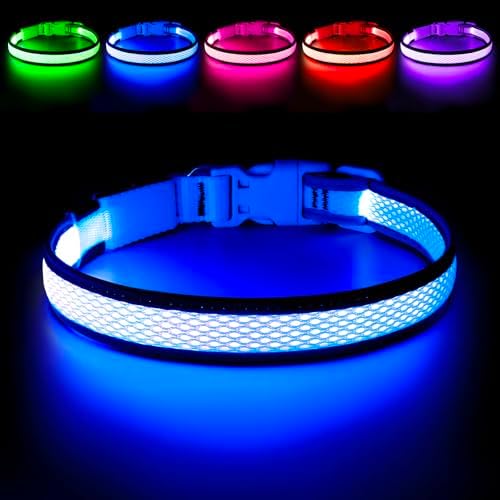 Flashseen LED Dog Collar, Light Up Dog Collar USB Rechargeable, Blue, L
