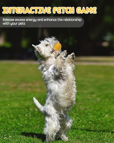 SCHITEC Dog Squeaky Toy Balls, Puppy Tennis Balls for Fetch Play, Interactive Latex Squeak Pet Toy for Puppies Mini Breed Small Dogs
