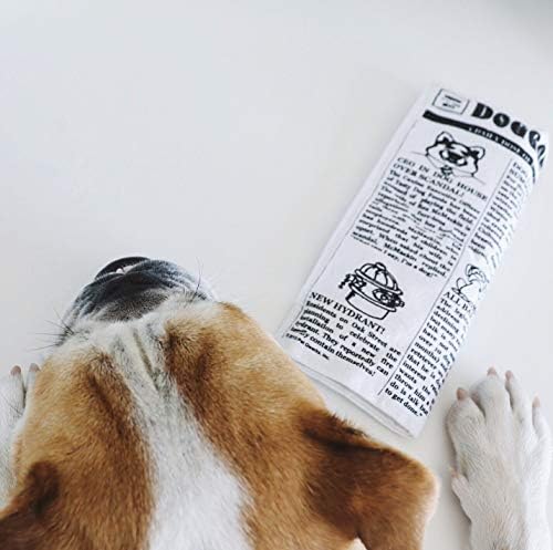 Pet Qwerks Plush Interactive Dog Toys - Newspaper Squeaker Toy - 10 in