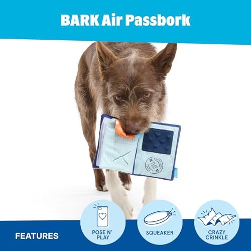 BarkBox BARK Air Passbork Dog Toy - for Dogs