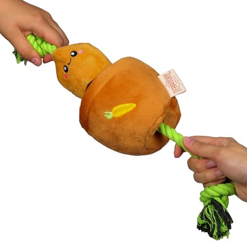 Territory Interactive Play Plush Treat-and-Tug Reward Toy for Dogs, Carrot