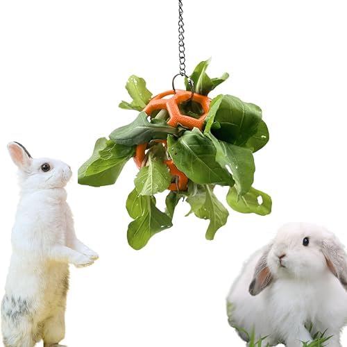 Rabbit Treat Ball Bunny Enrichment Toys with Stainless Steel Hanger Set, Veggie Feeding Rabbit Ball Toy for Bunny Hedgehog Tortoise Guinea Pig Rabbits, Pets Treat Balls Accessories (Orange)