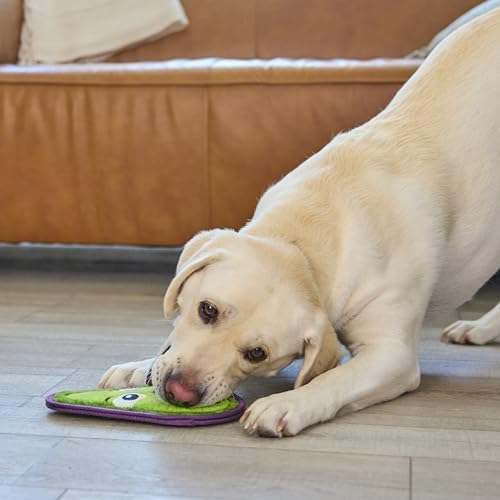 Outward Hound Tough Skinz Durable Chew Plush Squeaky Dog Toy, Avocado, 9"