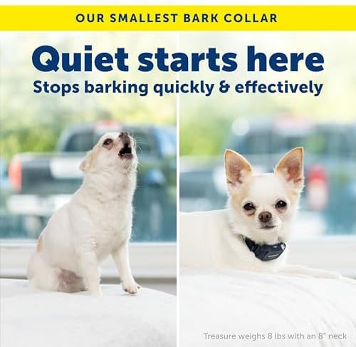 PetSafe NanoBark 2.0 Bark Collar for Small Dogs | 10 Static Levels, Responds Only To Your Dog's Bark, Up To 7-Day Battery, Rechargeable, Waterproof, Dogs 8 lb+, Neck 4-15 in