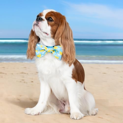azuza Dog Collar with Bow Tie, Soft and Comfortable Adjustable Bowtie Dog Collar for Puppy and Small Dogs (XS, Yellow Duck)