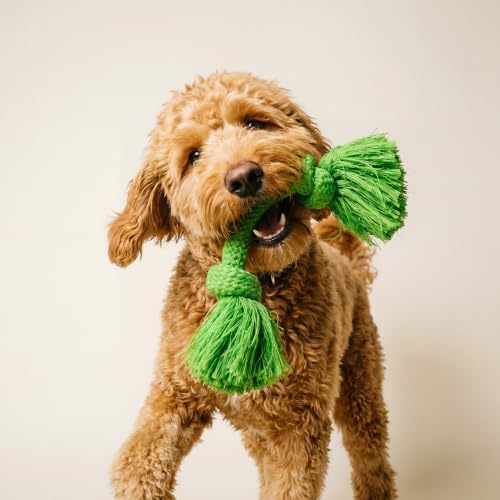 Playology Tug Rope Dog Toys for Medium Dogs - Medium, Sweet Potato Scent