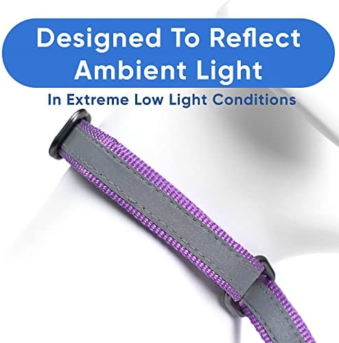 Pawtitas Customized Martingale Dog Collar Reflective Reflective Dog Collar Embroidered Personalized Name Phone Number Adjustable for Puppies Small Medium Large Size Dogs Large Orchid