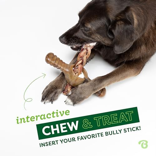 Benebone Pawplexer Treat Dispensing Puzzle Toy, Real Bacon, Large