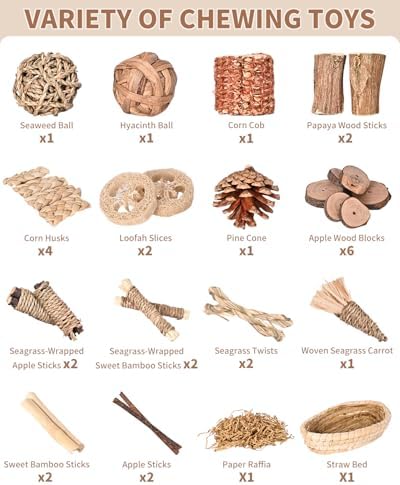 31PCS Rabbit Chew Treat Toys for Teeth Health, Natural Bunny Enrichment Toys for Boredom & Stress Relief, Keep Busy Toys for Guinea Pig Chinchilla Hamster Rat Gerbil Degu Indoor Outdoor